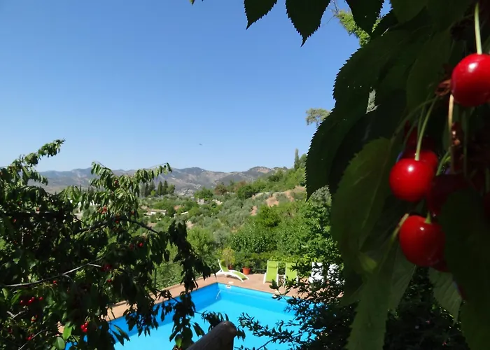 Apartamentos Arroyo Parrilla