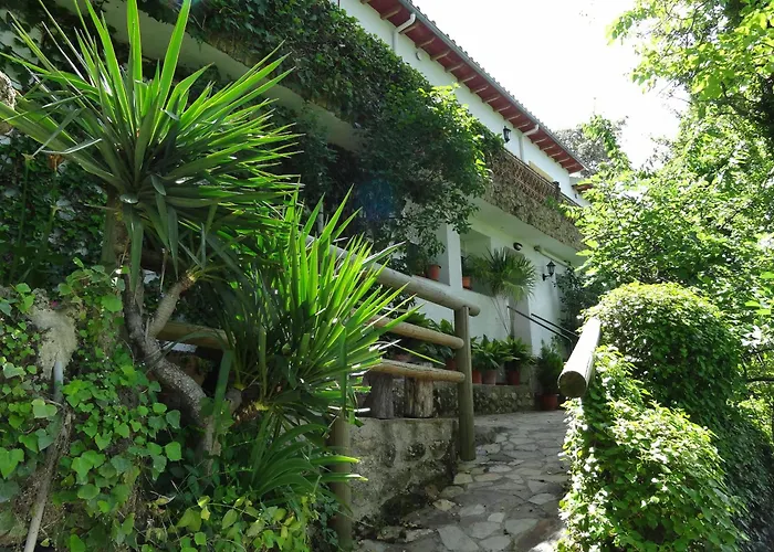Apartamentos Arroyo Parrilla