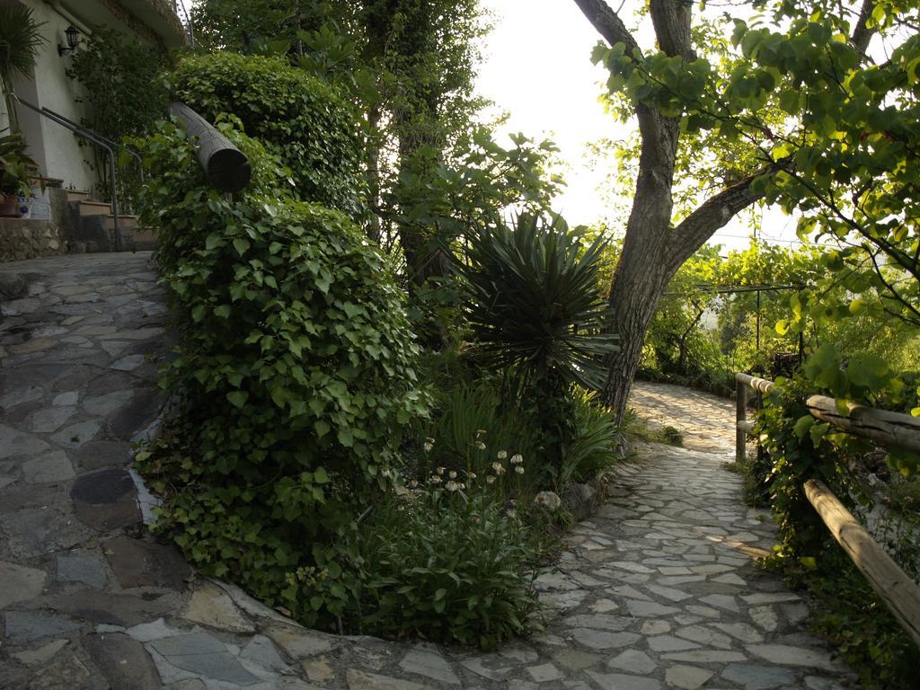 Aparthotel Arroyo Parrilla La Iruela