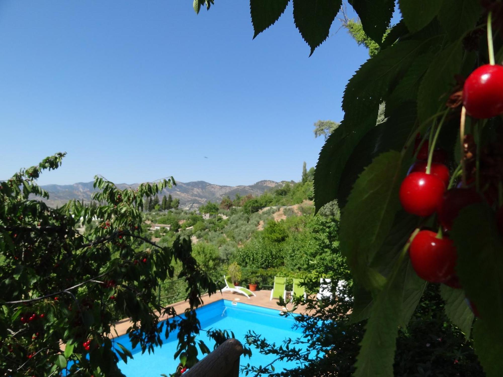 Aparthotel Arroyo Parrilla